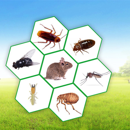 球盟會(huì)·qmh(中國(guó))-官方網(wǎng)站