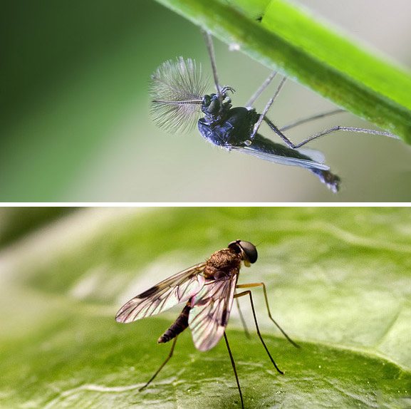 球盟會(huì)·qmh(中國)-官方網(wǎng)站