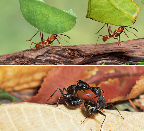 球盟會(huì)·qmh(中國)-官方網(wǎng)站